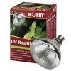 Hobby UV Reptil Vital, 100 Watt -Interaquaristik Verkäufe Hobby UV Reptil vital