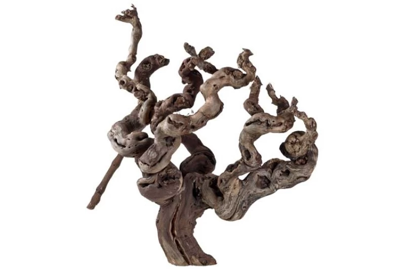 Hobby Weinrebenwurzel Jumbo, ca. 50-70 cm Hobby Weinrebenwurzel Jumbo, Ca. 50-70 Cm -Interaquaristik Verkäufe Hobby Weinrebenwurzel 1 1