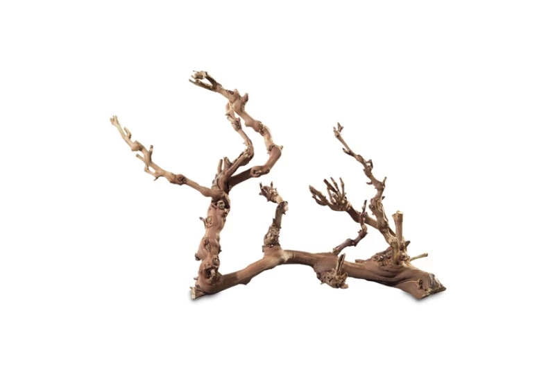 Hobby Weinrebenwurzel, ca. 30 cm Hobby Weinrebenwurzel, Ca. 30 Cm -Interaquaristik Verkäufe Hobby Weinrebenwurzel 2