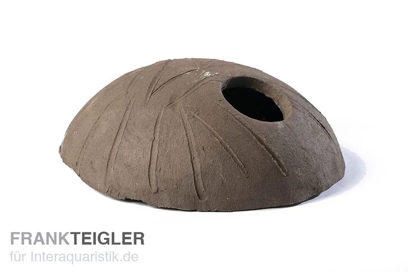 Aquariumkeramik Cichliden Iglu Laichhöhle schwarz Aquariumkeramik Cichliden Iglu Laichhöhle Schwarz -Interaquaristik Verkäufe IH3Mega schwarz