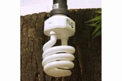 JBL ReptilJungle Daylight, ESL, 24 W -Interaquaristik Verkäufe JBL Reptil Daylight 24W