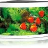 Juwel Aquarium Trigon 350 LED, Weiß -Interaquaristik Verkäufe Juwel Aquarium Trigon 350 LED weiss