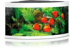 Juwel Aquarium Trigon 350 LED, Weiß