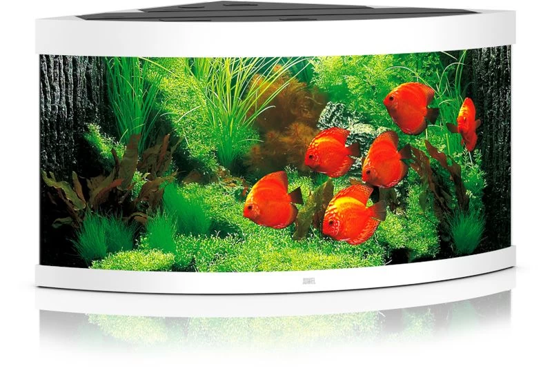 Juwel Aquarium Trigon 350 LED, weiß Juwel Aquarium Trigon 350 LED, Weiß -Interaquaristik Verkäufe Juwel Aquarium Trigon 350 LED weiss