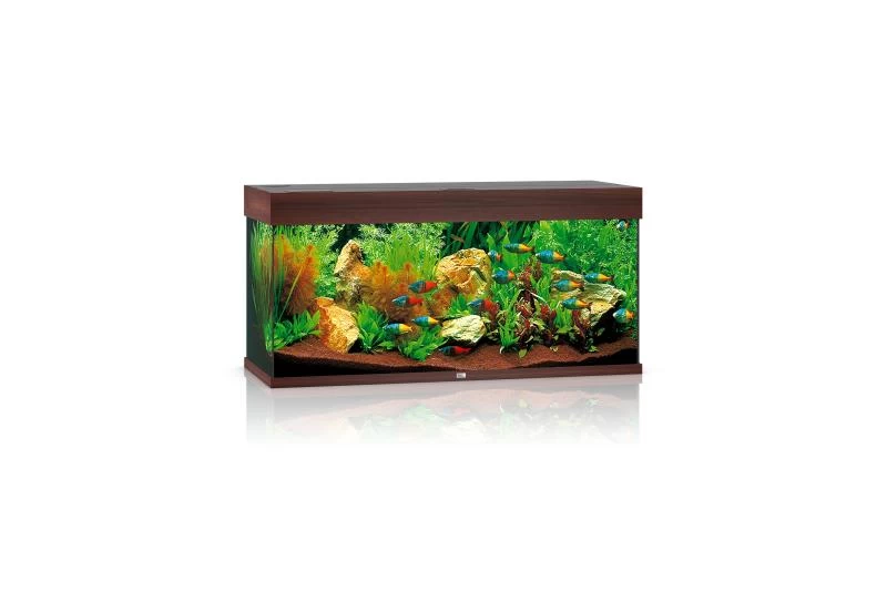 Juwel Rio Aquarium 180 LED, dunkles Holz Juwel Rio Aquarium 180 LED, Dunkles Holz -Interaquaristik Verkäufe Juwel Rio 180 Aquarium dark wood 04700 l