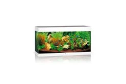 Juwel Rio Aquarium 180 LED, Weiß