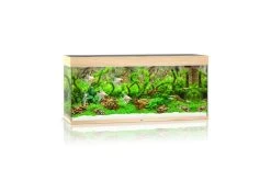 Juwel Rio Aquarium 240 LED, Helles Holz