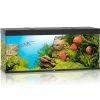 Juwel Rio Aquarium 450 LED, Schwarz -Interaquaristik Verkäufe Juwel Rio 450 Aquarium schwarz 05300 l