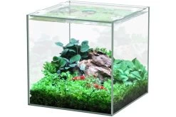 Aquatlantis Kubus Leer