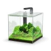 Aquatlantis Kubus 22 L LED Aquarienset