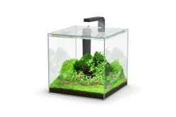 Aquatlantis Kubus 22 L LED Aquarienset