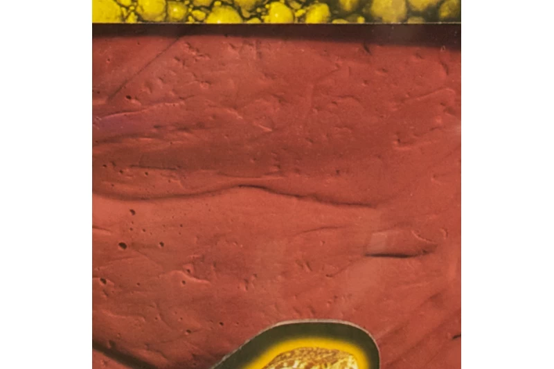 Zoomed Repticare Rock Heater Heizstein M 10W Zoomed Repticare Rock Heater Heizstein M 10W -Interaquaristik Verkäufe Repticare Rock Heater Heizstein M 10W