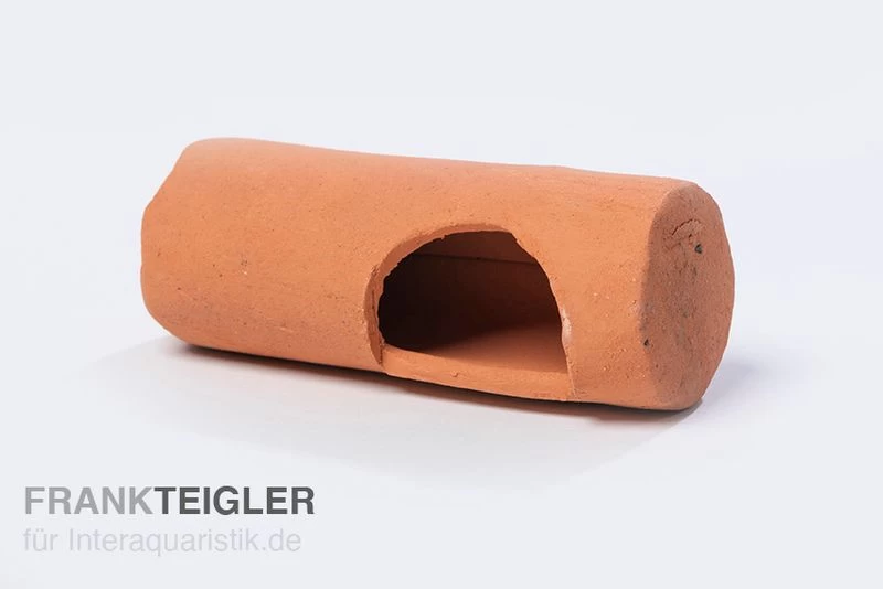 Aquariumkeramik Seiteneingangshöhle Wels 16 cm terrakotta Aquariumkeramik Seiteneingangshöhle Wels 16 Cm Terrakotta -Interaquaristik Verkäufe SE3 terrakotta