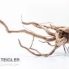 Stoffels Spiderwood Mittel, Ca. 25-40 Cm -Interaquaristik Verkäufe Spiderwood Medium