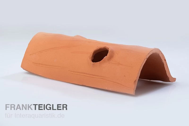 Aquariumkeramik Axolotl Tunnel mit Fenster 23-25 cm terra Aquariumkeramik Axolotl Tunnel Mit Fenster 23-25 Cm Terra -Interaquaristik Verkäufe T2 terra