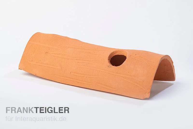 Aquariumkeramik Axolotl Tunnel mit Fenster 30 cm terra Aquariumkeramik Axolotl Tunnel Mit Fenster 30 Cm Terra -Interaquaristik Verkäufe T3 terra