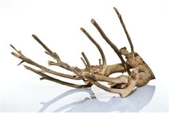Aquadeco Talawa Holz, 30-45 Cm -Interaquaristik Verkäufe Talawa Holz 3