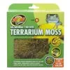 Zoomed Terrarium Moss L -Interaquaristik Verkäufe Terrarium Moss L