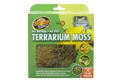 Zoomed Terrarium Moss L