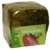 Zoomed Terrarium Moss Minibale -Interaquaristik Verkäufe Terrarium Moss Minibale