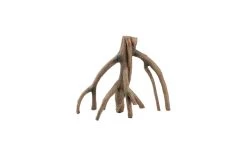 Aquatlantis Wurzel Mango 2