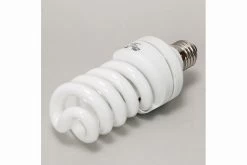 JBL ReptilJungle Daylight, ESL, 24 W