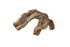 Hobby Weinrebenwurzel Jumbo, Ca. 50-70 Cm 6 Hobby Weinrebenwurzel Jumbo, Ca. 50-70 Cm -Interaquaristik Verkäufe orinocodeco weinrebe groesse s 20 30 cm 2 1