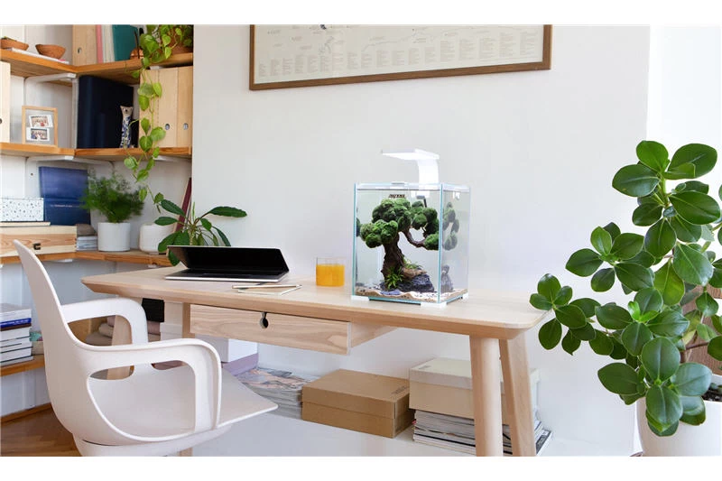 Aquael Shrimp Set Day&Night, 10 Liter schwarz Aquael Shrimp Set Day&Night, 10 Liter Schwarz -Interaquaristik Verkäufe shrimp set day night 2