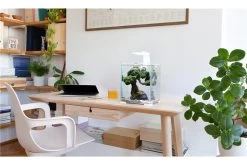 Aquael Shrimp Set Day&Night, 30 Liter Weiss -Interaquaristik Verkäufe shrimp set day night 4